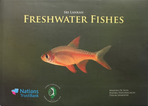 5 Sri Lankan Freshwater Fishes