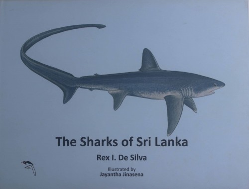 5 The Sharks of Sri Lanka