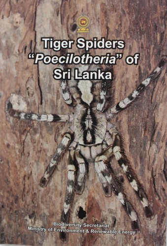 7 Tiger Spiders "Poecilotheria" of Sri Lanka
