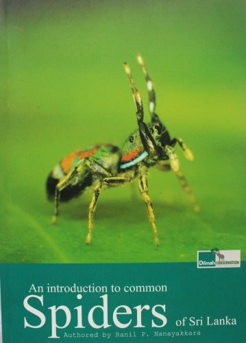 7 An introduction to common Spiders of Sri Lanka