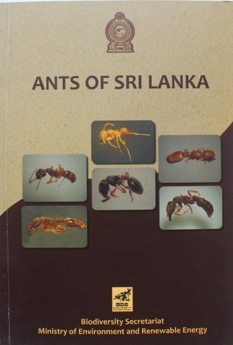 7 Ants of Sri Lanka