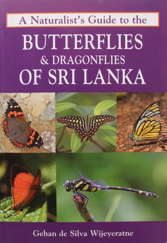 7 A Naturalist's Guide to the Butterflies and Dragonflies of Sri Lanka