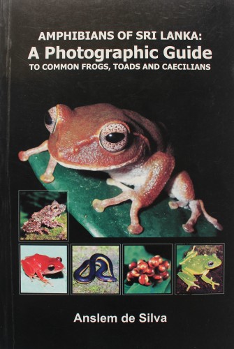 4 Amphibians of Sri Lanka: A Photograpic Guide to Common Frogs, Toads and Caecilians